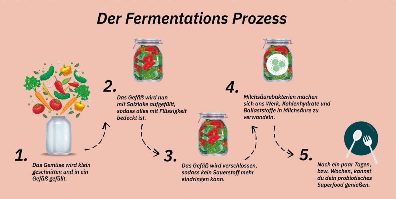 Lakto Fermentation_Thomas Bissegger.png